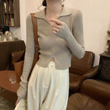 Over-Necked Bottom-Up Shirt Women's Autumn And Winter High-End Feel-Tuned Sweater With Polo Collar Knitted Small Short Top