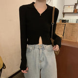 Over-Necked Bottom-Up Shirt Women's Autumn And Winter High-End Feel-Tuned Sweater With Polo Collar Knitted Small Short Top