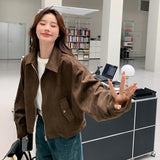 Maillard Short Velvet Jacket Women's Spring And Autumn Dress Retro Lazy Chic And Cool And Fur Jacket Jacket