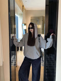 High-End Temperament Solid Color Hooded Hoodie Women Autumn 2025 New Loose Thin Niche Chic Top